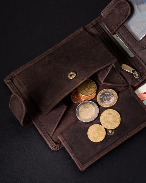Poziomy portfel męski ze skóry naturalnej, system RFID Protect - Peterson Poziomy portfel męski ze skóry naturalnej, system RFID Protect - Peterson