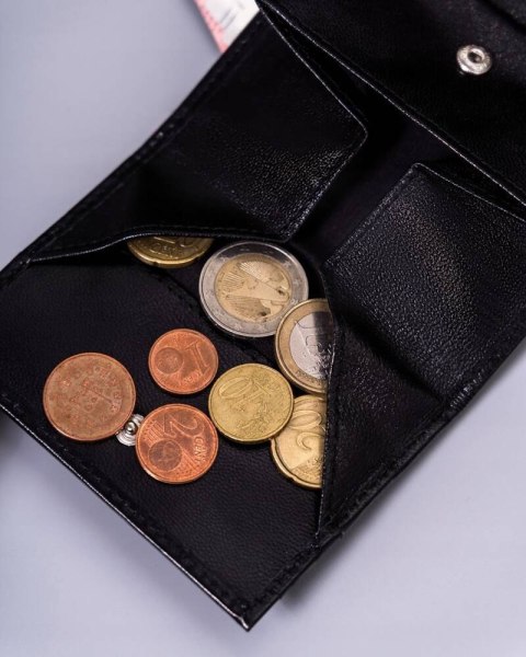 Mały, skórzany portfel damski z ochroną RFDI Protect - Peterson Mały, skórzany portfel damski z ochroną RFDI Protect - Peterson