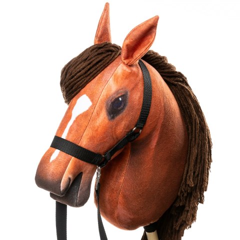 Zestaw Skippi - Hobby Horse Bursztyn i przeszkoda do skakania 135 cm
