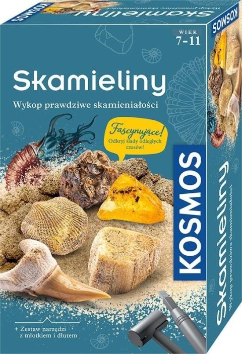 Zestaw Archeologiczny Skamieliny PIATNIK Zestaw Archeologiczny Skamieliny PIATNIK