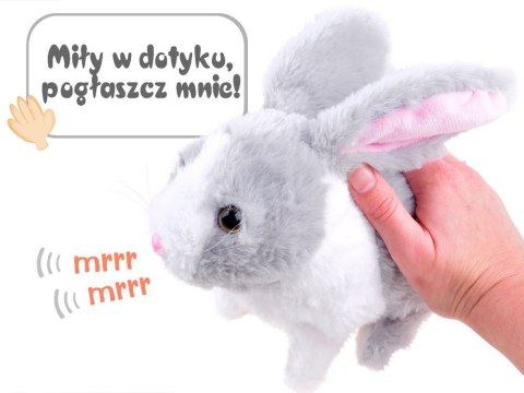 Interaktywny zwierzaczek chrupaczek Kicający Królik + marchewka ZA2685