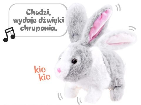 Interaktywny zwierzaczek chrupaczek Kicający Królik + marchewka ZA2685