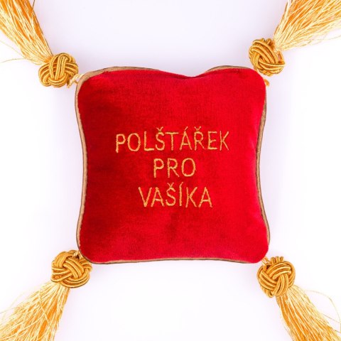 Poduszka dla Wacusia (CZ) Poduszka dla Wacusia (CZ)