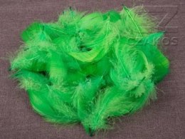 Piórka dekoracyjne - Zieleń, 12 g