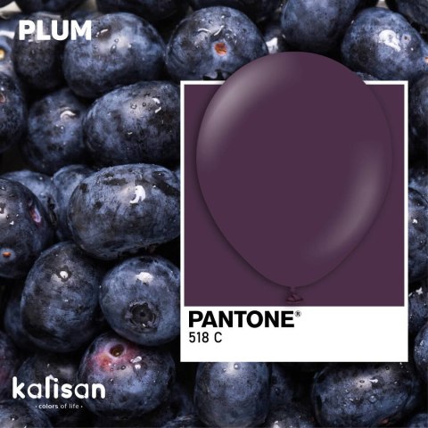 Balony lateksowe Plum, fioletowy 13 cm, 100 szt. Balony lateksowe Plum, fioletowy 13 cm, 100 szt.