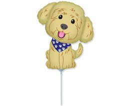 Balon foliowy Piesek, Pies Cobberdog, na patyk 14