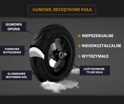Qplay Rowerek Trójkołowy Rito Rubber Green Qplay Rowerek Trójkołowy Rito Rubber Green