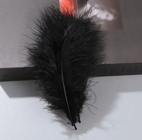 Piórka dekoracyjne - Czarne, 14cm, 100 szt Piórka dekoracyjne - Czarne, 14cm, 100 szt