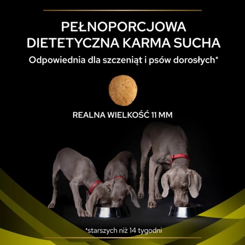 PURINA Pro Plan Veterinary Diets HP Hepatic 3kg PURINA Pro Plan Veterinary Diets HP Hepatic 3kg