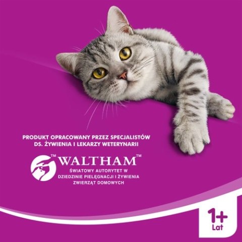 WHISKAS Karma Sucha Dla Kota 1+ Z Wołowiną 14kg WHISKAS Karma Sucha Dla Kota 1+ Z Wołowiną 14kg