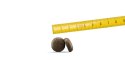 Josera Festival 900g