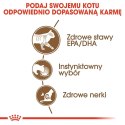 ROYAL CANIN Ageing +12 Gelee 12x85g ROYAL CANIN Ageing +12 Gelee 12x85g