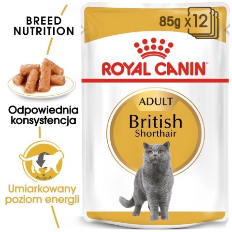 ROYAL CANIN British Shorthair Adult 12x85g ROYAL CANIN British Shorthair Adult 12x85g