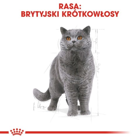 ROYAL CANIN British Shorthair Adult 12x85g ROYAL CANIN British Shorthair Adult 12x85g