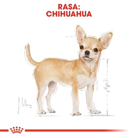 ROYAL CANIN Chihuahua Adult 12x85g ROYAL CANIN Chihuahua Adult 12x85g
