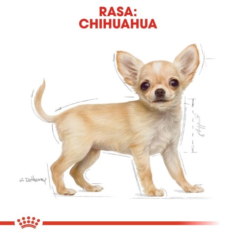 ROYAL CANIN Chihuahua Puppy 500g ROYAL CANIN Chihuahua Puppy 500g