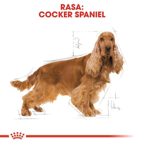 ROYAL CANIN Cocker Spaniel Adult 12kg ROYAL CANIN Cocker Spaniel Adult 12kg