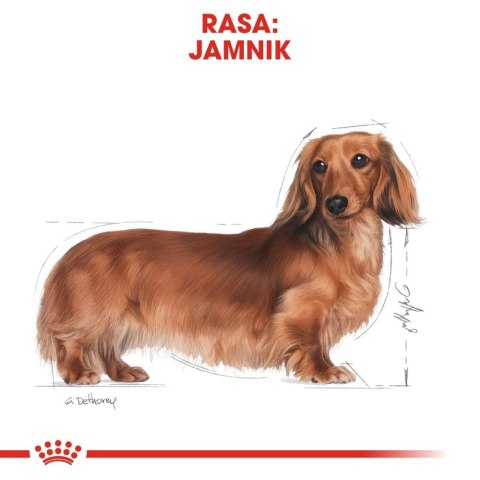 ROYAL CANIN Dachshund Adult 7,5kg ROYAL CANIN Dachshund Adult 7,5kg