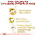 ROYAL CANIN Dachshund Adult 7,5kg