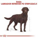 ROYAL CANIN Labrador Retriever Sterilised 12kg ROYAL CANIN Labrador Retriever Sterilised 12kg