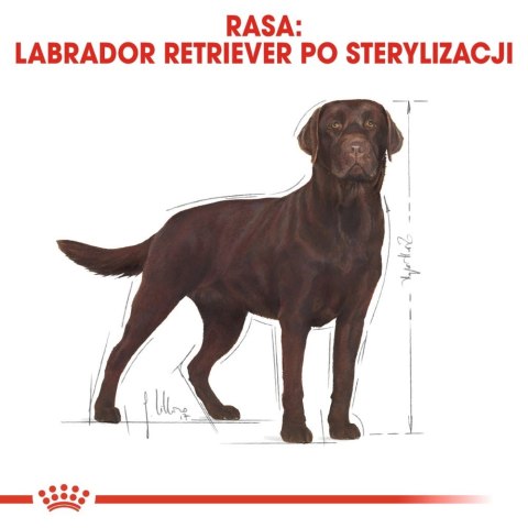 ROYAL CANIN Labrador Retriever Sterilised 12kg ROYAL CANIN Labrador Retriever Sterilised 12kg