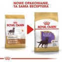 ROYAL CANIN Labrador Retriever Sterilised 12kg ROYAL CANIN Labrador Retriever Sterilised 12kg