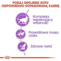 ROYAL CANIN Sterilised +7 1,5kg ROYAL CANIN Sterilised +7 1,5kg
