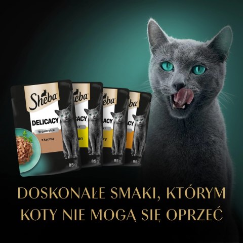 Sheba Saszetka Delicacy In Jelly Smaki Drobiowe 12x85g Sheba Saszetka Delicacy In Jelly Smaki Drobiowe 12x85g