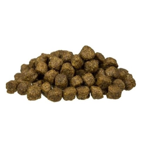 BOSCH Mini Senior 1kg BOSCH Mini Senior 1kg