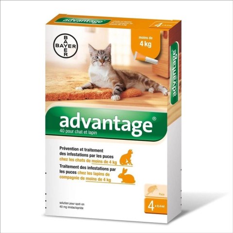 Bayer Advantage Roztwór Do Nakrapiania Dla Kotów 4x0,4ml Bayer Advantage Roztwór Do Nakrapiania Dla Kotów 4x0,4ml