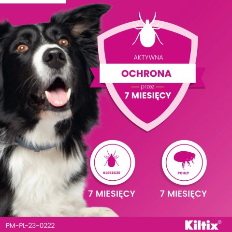 Bayer Kiltix Obroża Na Kleszcze I Pchły Dla Psa 53cm Bayer Kiltix Obroża Na Kleszcze I Pchły Dla Psa 53cm
