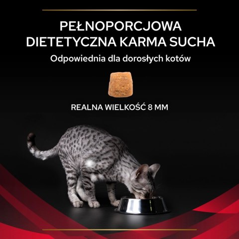 PURINA Pro Plan Veterinary Diets DM Diabetes Management Cat 5kg PURINA Pro Plan Veterinary Diets DM Diabetes Management Cat 5kg