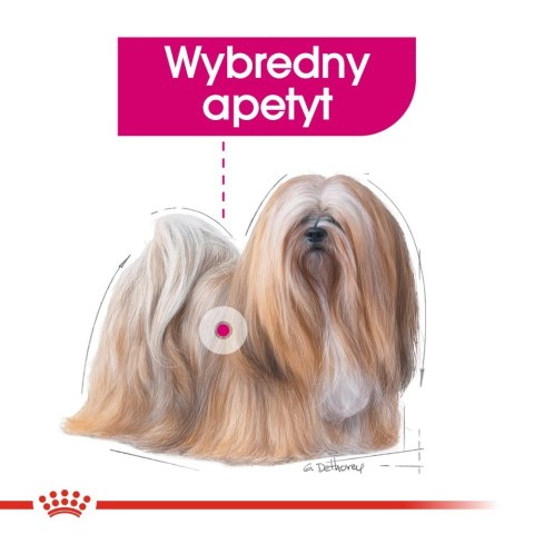 ROYAL CANIN CCN Exigent Pasztet 12x85g ROYAL CANIN CCN Exigent Pasztet 12x85g