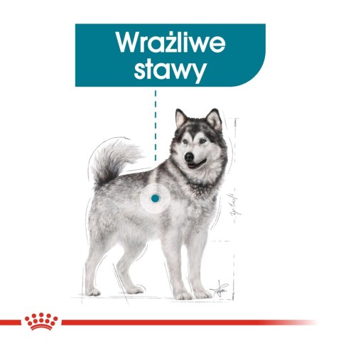ROYAL CANIN CCN Maxi Joint Care 10kg ROYAL CANIN CCN Maxi Joint Care 10kg