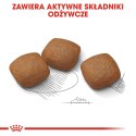 ROYAL CANIN CCN Maxi Joint Care 10kg