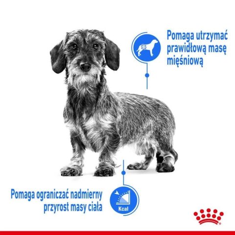 ROYAL CANIN CCN Mini Light Weight Care 8kg ROYAL CANIN CCN Mini Light Weight Care 8kg