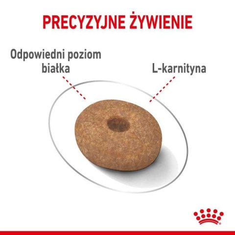 ROYAL CANIN CCN Mini Light Weight Care 8kg ROYAL CANIN CCN Mini Light Weight Care 8kg