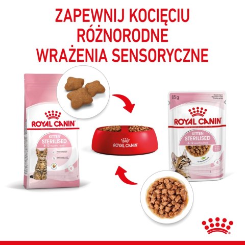 ROYAL CANIN Kitten Sterilised Sauce 12x85g ROYAL CANIN Kitten Sterilised Sauce 12x85g