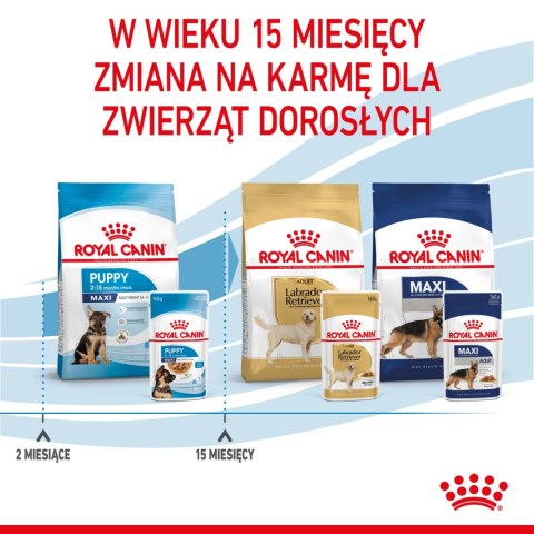 ROYAL CANIN Maxi Puppy 10x140g ROYAL CANIN Maxi Puppy 10x140g