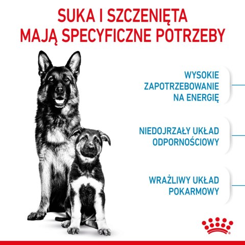 ROYAL CANIN Maxi Starter Mother & Babydog 15kg ROYAL CANIN Maxi Starter Mother & Babydog 15kg