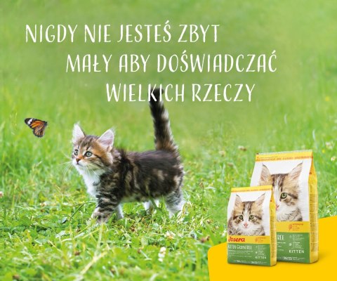 Josera Kitten Grainfree 2kg Josera Kitten Grainfree 2kg