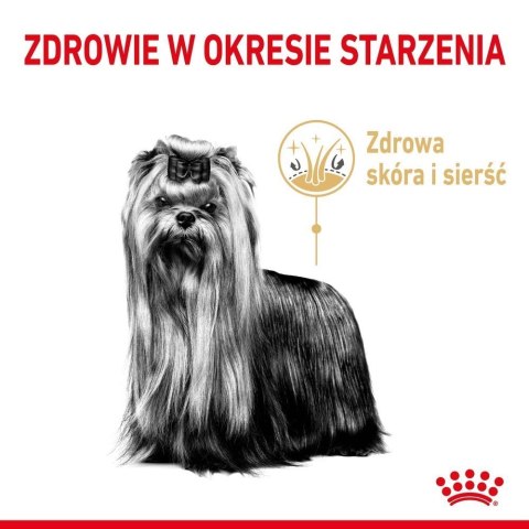ROYAL CANIN Yorkshire Terrier Adult 8+ 3kg ROYAL CANIN Yorkshire Terrier Adult 8+ 3kg