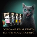 Sheba Fine Flakes In Jelly Saszetka 4x85g
