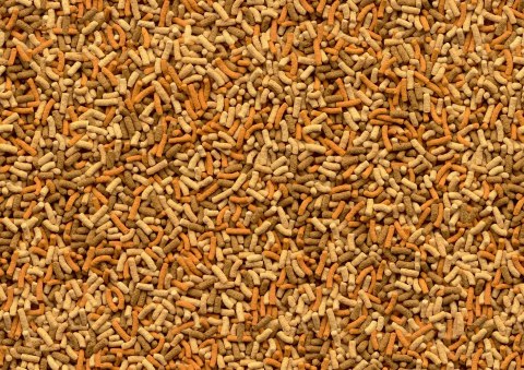 Tetra Pond Variety Sticks 7l Tetra Pond Variety Sticks 7l