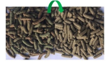 Versele-Laga Cuni Nature Original Pokarm Dla Królików 9kg Versele-Laga Cuni Nature Original Pokarm Dla Królików 9kg