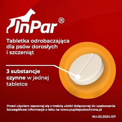 Vet-Agro InPar Tabletki Odrobaczające Dla Psa 2szt Vet-Agro InPar Tabletki Odrobaczające Dla Psa 2szt
