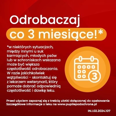 Vet-Agro InPar Tabletki Odrobaczające Dla Psa 2szt Vet-Agro InPar Tabletki Odrobaczające Dla Psa 2szt