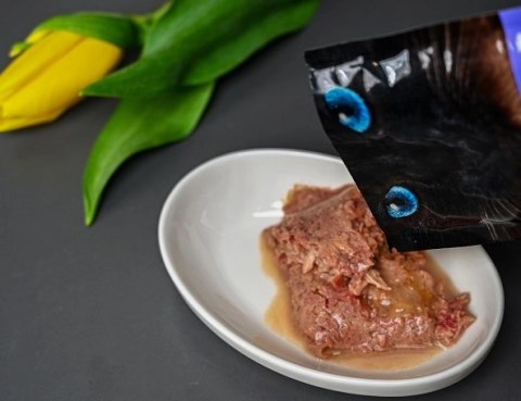 Josera Filet Kurczak Z Łososiem 70g Josera Filet Kurczak Z Łososiem 70g