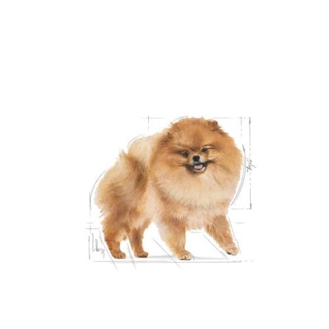 ROYAL CANIN Pomeranian 12x85g ROYAL CANIN Pomeranian 12x85g