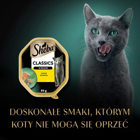 Sheba Classics Koktajl Drobiowy 85g Sheba Classics Koktajl Drobiowy 85g